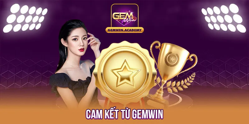 Cam kết từ Gemwin 